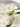 Tofu and Chive Dumplings 450g handmade Dim Sum 20pcs Silky Flavour Quick Prep - Chefs For Foodies