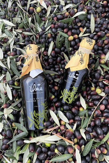 Organic Olive Oil - Chefs For Foodies