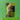 Hojicha tea package on a green background