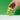 Hand holding a green container of matcha powder against a green background