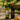 Italian Wine Duo Bundle – Falanghina & Aglianico