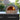 Delivita outdoor pizza oven with a pizza inside on a patio