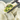 Bok Choy and Mushroom Dumplings 450g with 20Pcs - Chefs For Foodies