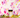 Jar of JARA honey with a colorful abstract background