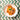 The Yorkshire Pasta Company Penne Rigate