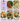 A collage showing six food dishes labeled with Caesar-based recipes, alongside a bottle of Toss Dressing butter sauce on a lavender panel. The dishes include King Caesar, Sweet Potato Kale Caesar, Spaghetti, Caesar Butter Beans, Cauliflower Caesar, and Chicken Schnitzel.