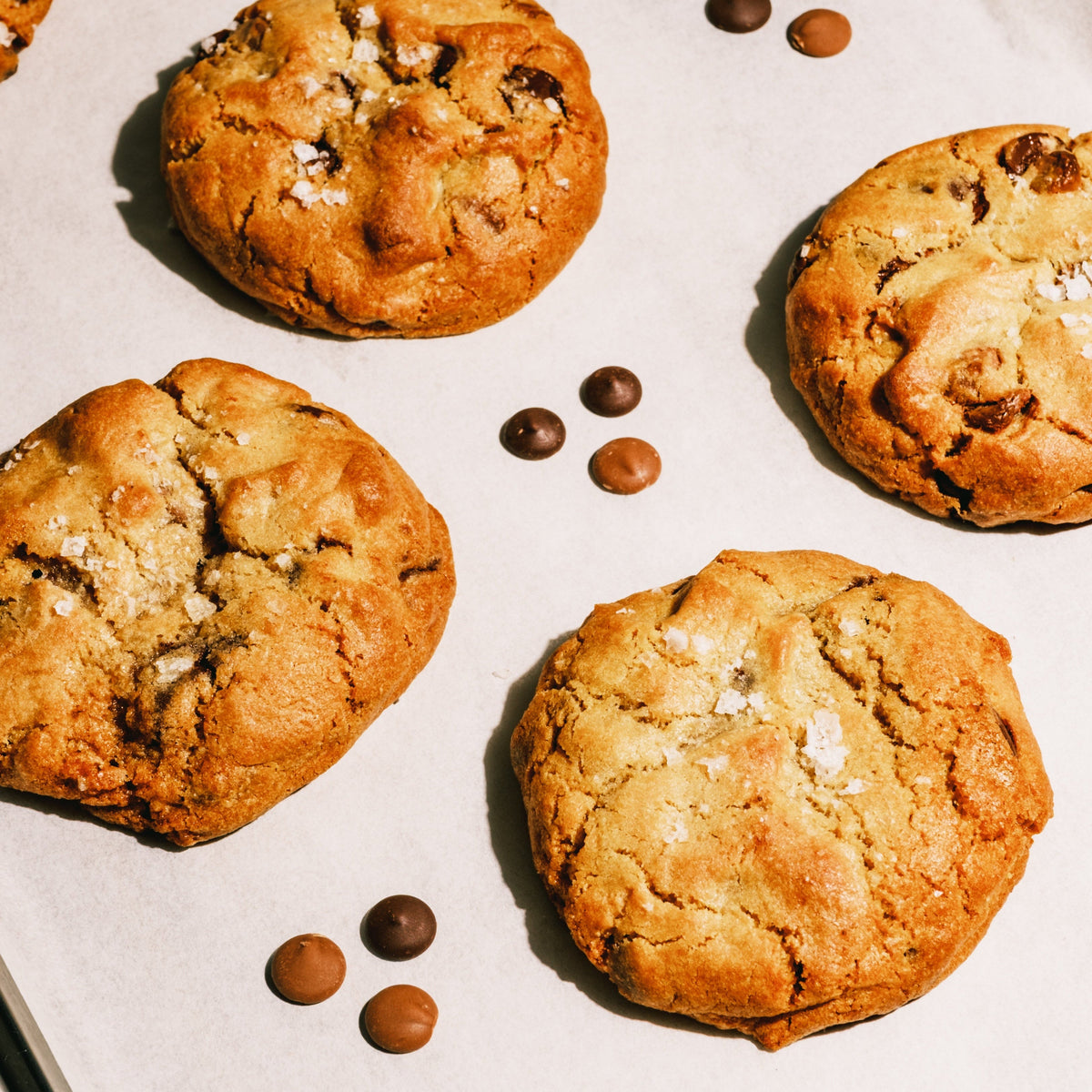 G Chocolate Chip & Sea Salt Box
