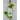 Bottle of RamTang lime-flavored liquor with limes on a gray background