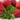 Strawberries with mint leaves on a wooden surface