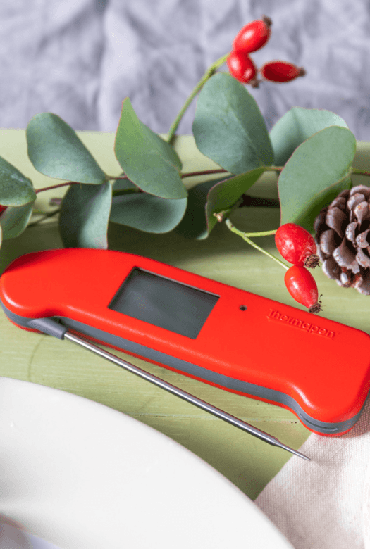 Thermapen® ONE Thermometer - Chefs For Foodies