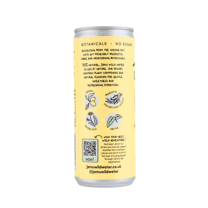 Jamu Wild Water - Natural Sparkling Lemon Water 250ml - Chefs For Foodies