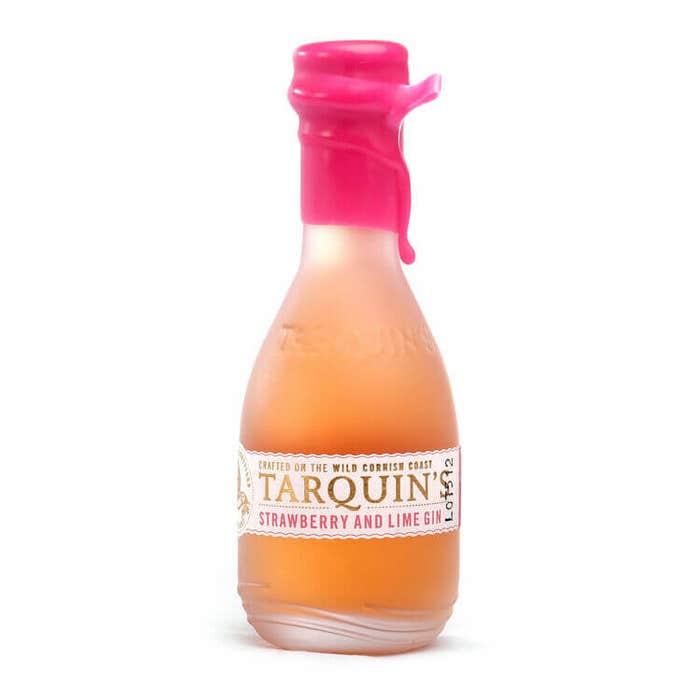 Southwestern Distillery - Tarquin's Strawberry & Lime Gin 38% ABV 5cl-2