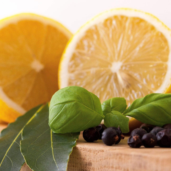 Gourmet Lemon, Basil, Bay & Juniper Vinegar - Chefs For Foodies
